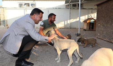 Nevşehir Belediye Başkanı Rasim Arı, Nevşehir’e yeni bir Hayvan Kasabası kazandırmak için çalışmalara başladıklarını açıkladı