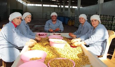 Sofralık zeytin ihracatı 200 milyon dolara koşuyor